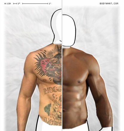 Torso Comparison