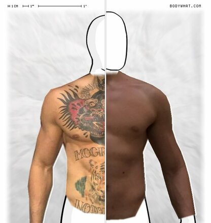 Torso Comparison