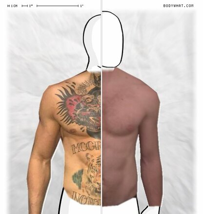 Torso Comparison