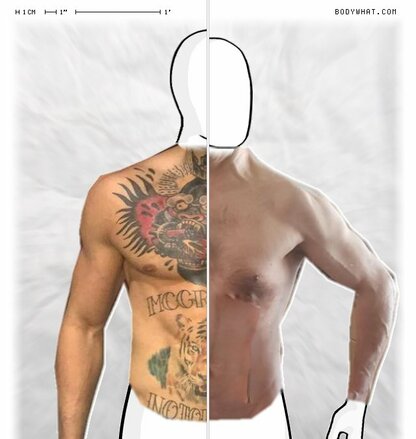 Torso Comparison