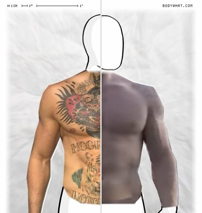 Torso Comparison