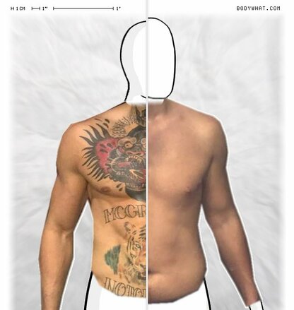 Torso Comparison