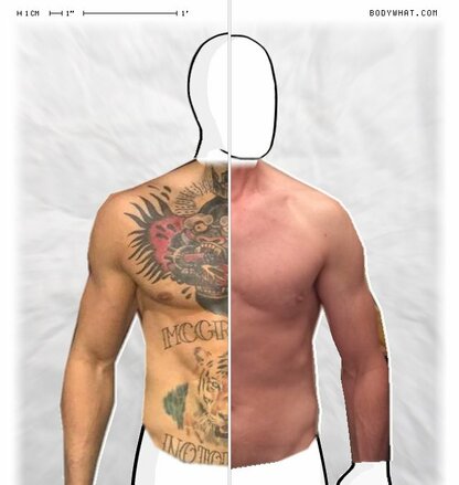 Torso Comparison