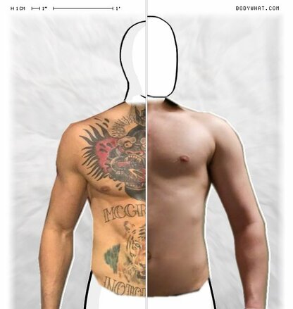 Torso Comparison