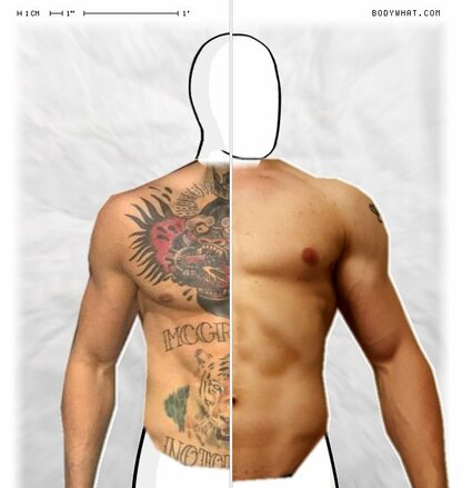 Torso Comparison
