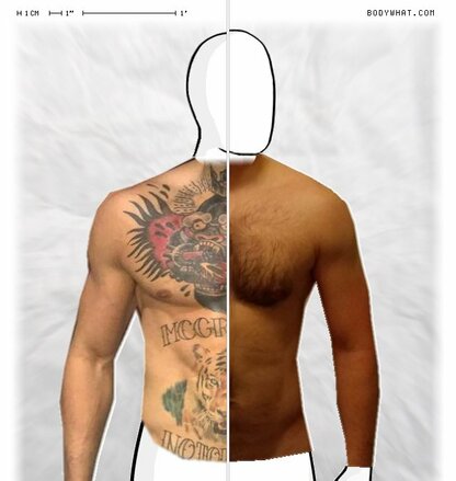 Torso Comparison