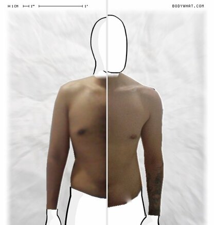 Torso Comparison