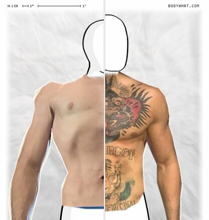 Torso Comparison