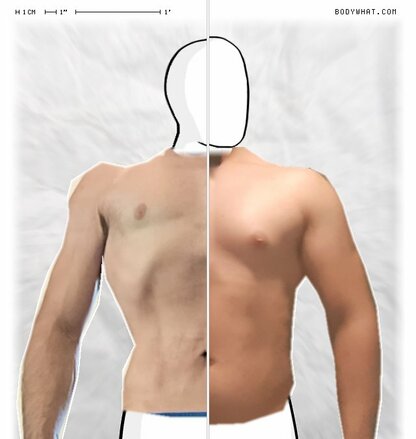 Torso Comparison