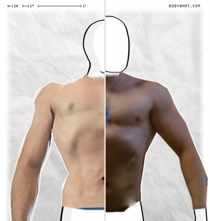 Torso Comparison