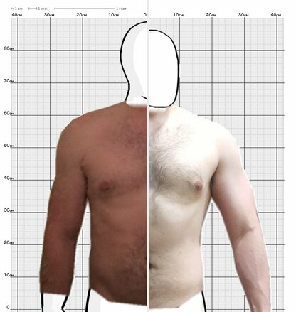 Torso Comparison