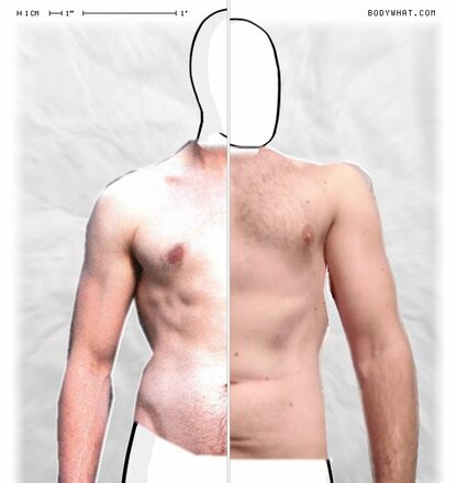 Torso Comparison