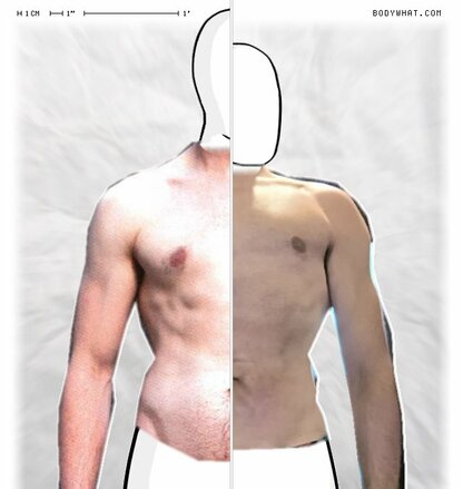 Torso Comparison