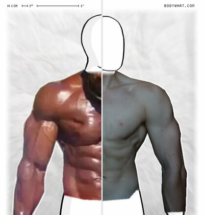 Torso Comparison