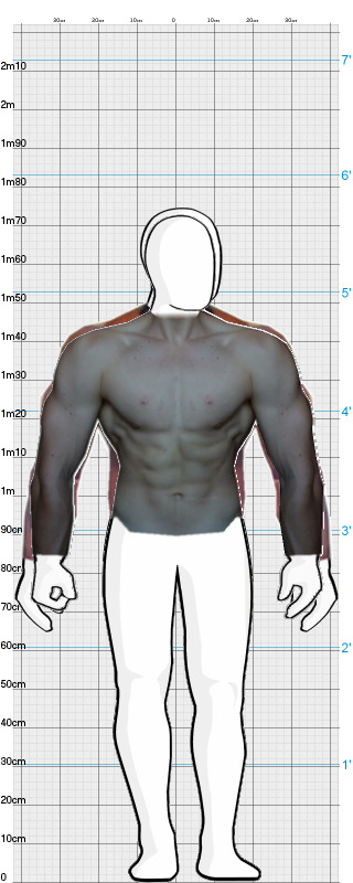 Full Size Comparison