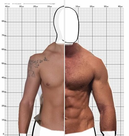 Torso Comparison