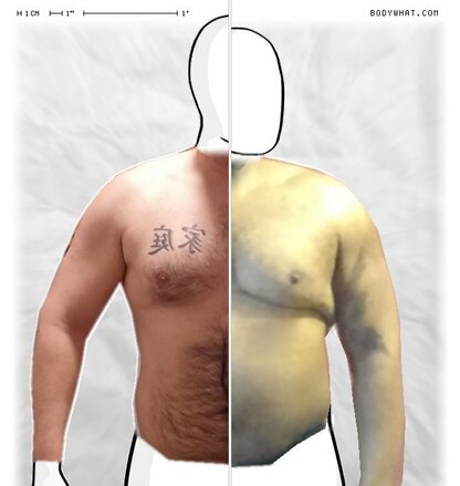 Torso Comparison