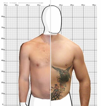 Torso Comparison