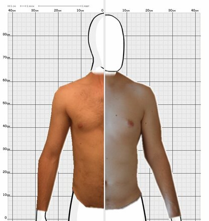 Torso Comparison