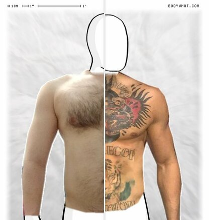 Torso Comparison