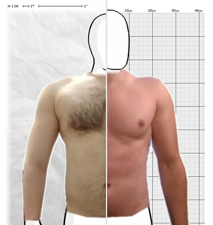 Torso Comparison