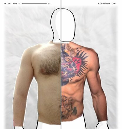 Torso Comparison