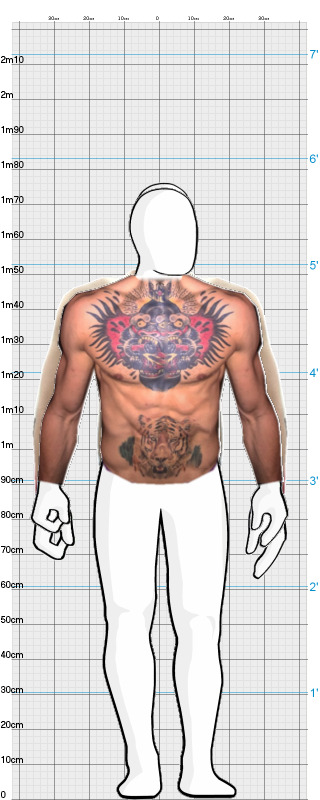 Full Size Comparison