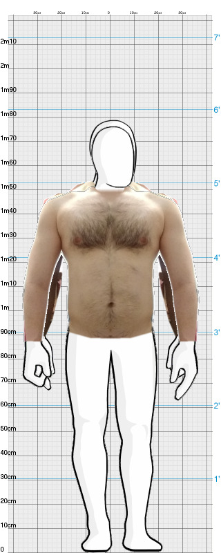 Full Size Comparison