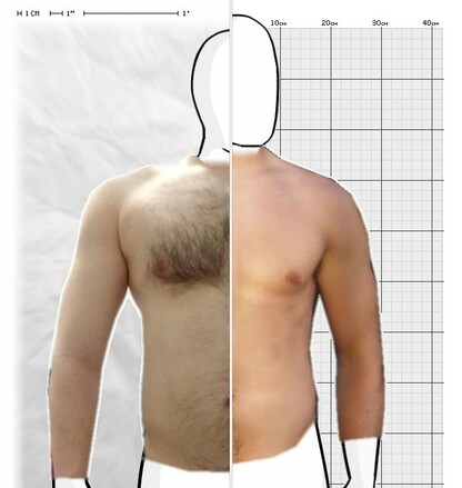 Torso Comparison
