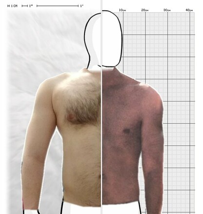 Torso Comparison