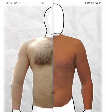 Torso Comparison