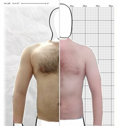 Torso Comparison