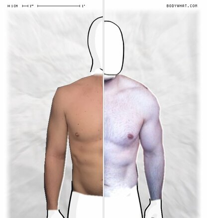 Torso Comparison