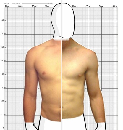 Torso Comparison