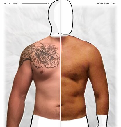 Torso Comparison