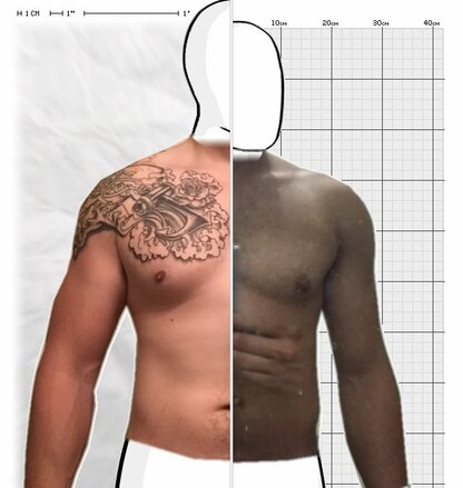 Torso Comparison