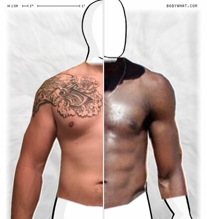 Torso Comparison