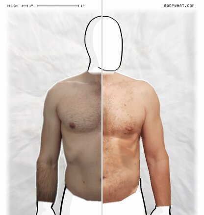 Torso Comparison