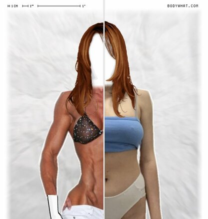 Torso Comparison