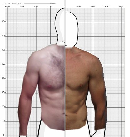 Torso Comparison