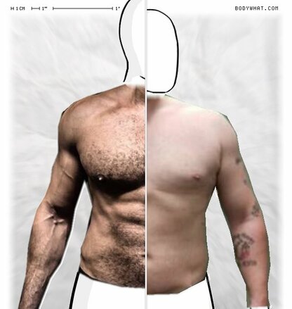 Torso Comparison