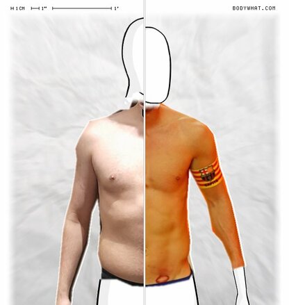 Torso Comparison