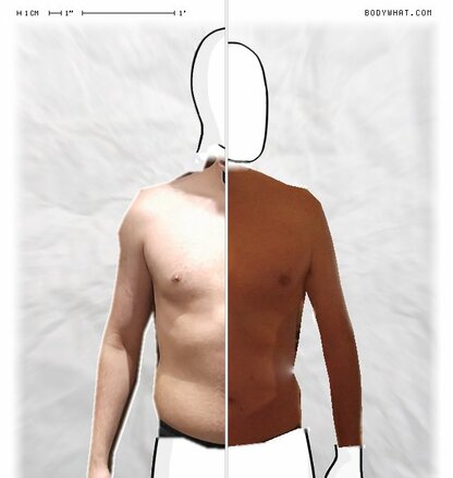 Torso Comparison