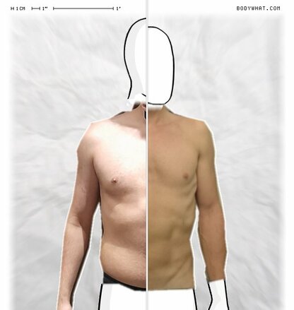 Torso Comparison