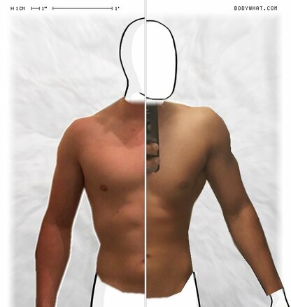 Torso Comparison