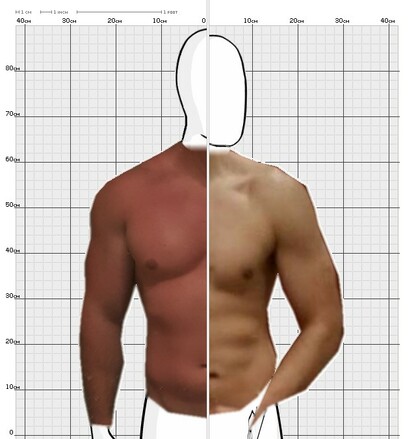 Torso Comparison