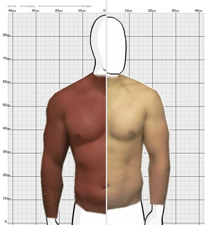 Torso Comparison