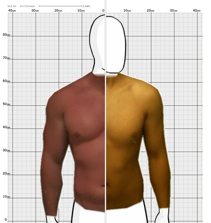 Torso Comparison