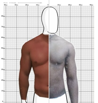 Torso Comparison