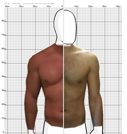 Torso Comparison